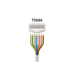 50cm RJ45 Cat 6 Patch Cable - Pink