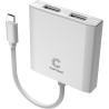 USB-C to Dual DisplayPort Adapter