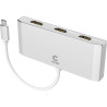 USB-C to Triple HDMI Adapter